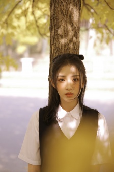 飞花艳想